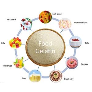 Best-selling wholesale food additive grade soft gelatin for gummies